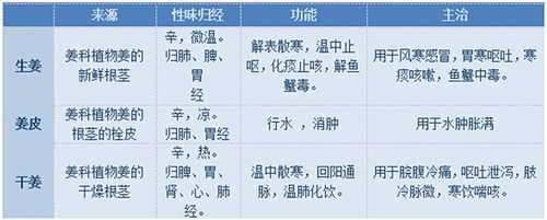 生姜归经用量-图1