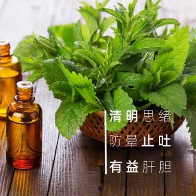 薄荷加生姜精油-图2