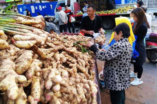 潍坊哪里有卖生姜的实体店