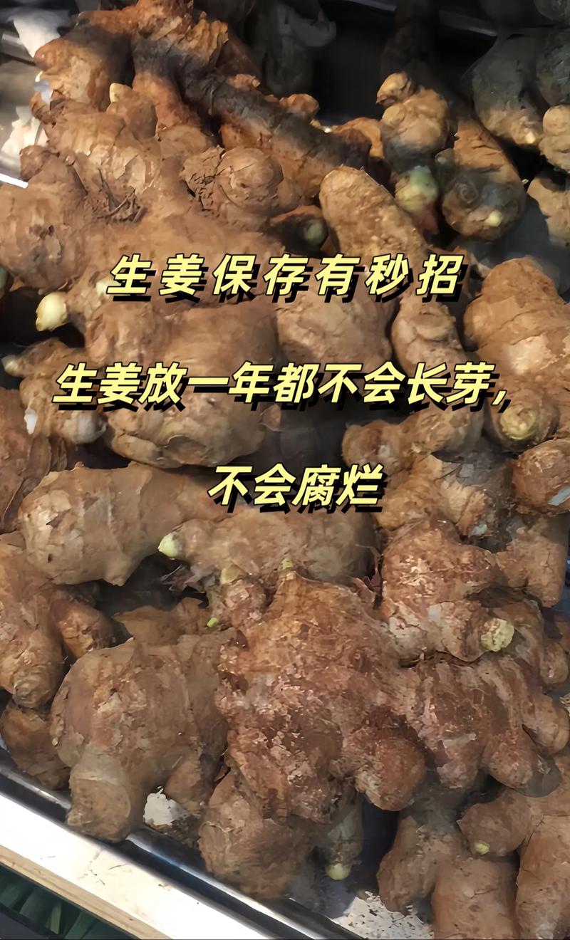 生姜批发的技巧