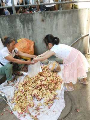 农村大婶在街头卖生姜视频-图2