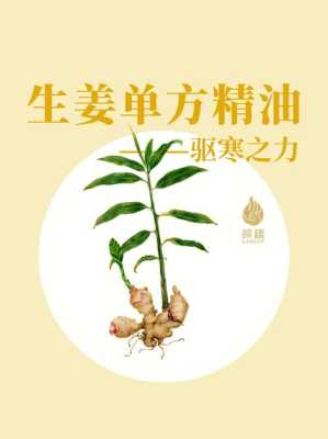 生姜植物精油能不能祛痘-图1