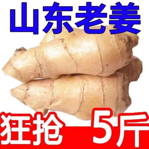 生姜白菜的作用与功效-图2