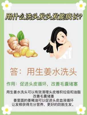 生姜治脱发使用方法-图3