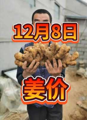 12月10日生姜价格如何-图2